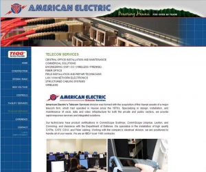 American Electric